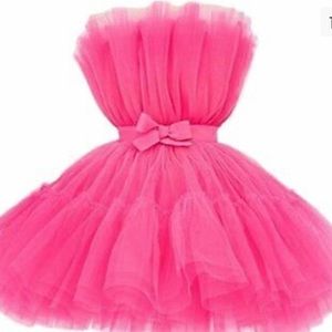 HOT PINK TULLE FASHION NOVA MINI DRESS